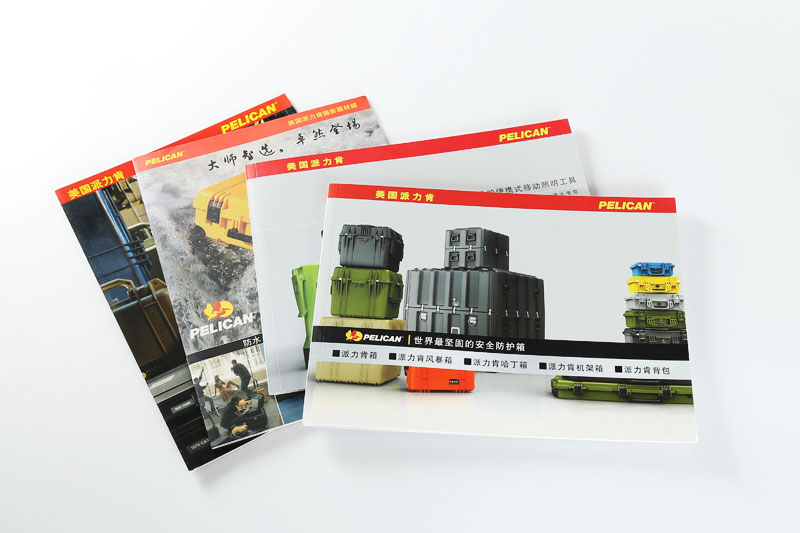 派力肯９.jpg